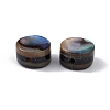 Natural Abalone Shell/Paua Shell Beads SSHEL-M021-02-3