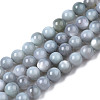 Natural Freshwater Shell Beads Strands X-BSHE-T009A-01K-1