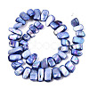 Natural Freshwater Shell Beads Strands X-SHEL-N026-123G-2