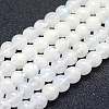 Natural Rainbow Moonstone Beads Strands G-P342-02B-6mm-AB+-1