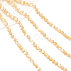 Nbeads Natural Trochid Shell/Trochus Shell Beads Strands SSHEL-NB0001-34-1