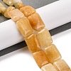 Natural Topaz Jade Beads Strands G-T047-B05-01-2
