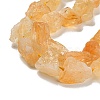 Rough Raw Natural Citrine Beads Strands G-K202-17B-6