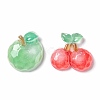 Autumn Theme Transparent Resin Cabochons CRES-A050-19-2