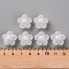 Transparent Acrylic Beads TACR-S152-09C-06-4