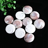 Natural Conch Shells Round Decorations PW-WG89460-01-3