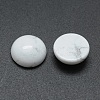 Natural Howlite Cabochons X-G-P393-R32-12mm-2