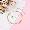Brass Flat Round Link Chain Necklaces NJEW-JN03361-4