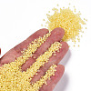 12/0 Glass Seed Beads SEED-A016-2mm-202-5