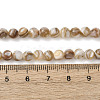 Natural Freshwater Shell Beads Strands SHEL-K006-71B-4