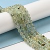 Natural Prehnite Beads Strands LS-G-S333-6mm-032-6