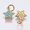 Brass Micro Pave Cubic Zirconia Charms RB-I077-21G-RS-2
