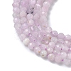 Natural Kunzite/Spodumene Beads Strands G-L651-C12-2mm-02-4