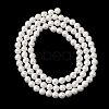 Round Shell Pearl Bead Strands LS-BSHE-L011-4mm-A013A-4