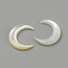 Natural White Shell Mother of Pearl Shell Cabochons X-SHEL-S267-04B-2