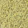 TOHO 11/0 Round Beads SEED-XTR11-0559-2