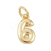 Brass Charms KK-G544-10G-06-1