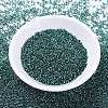 MIYUKI Delica Beads SEED-X0054-DB0607-2