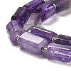 Natural Amethyst Beads Strands G-N327-06-18-4