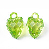Transparent Acrylic Pendants TACR-T005-12-2