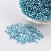 Two Cut Glass Seed Beads X-CSDB23-1
