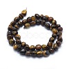 Natural Tiger Eye Beads Strands G-E505-01B-2