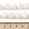 Natural Edison Pearl Beads Strands PEAR-B004-01A-03A-5