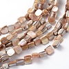 Erose Shell Beads Strands PBB071Y-1