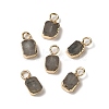 Natural Labradorite Rectangle Charms G-Q169-07G-11-1