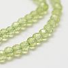 Natural Peridot Bead Strands X-G-P271-3mm-12-4