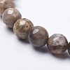 Natural Silver Leaf Jasper Beads Strands G-K181-8mm-O01-2