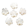 Natural White Shell Carved Beads SSHEL-Z002-02A-1