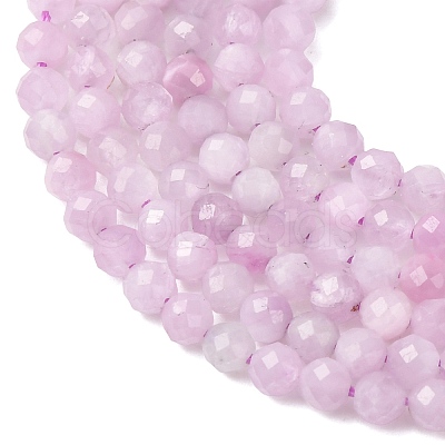 Natural Kunzite Beads Strands G-G259-D11-3mm-01-1