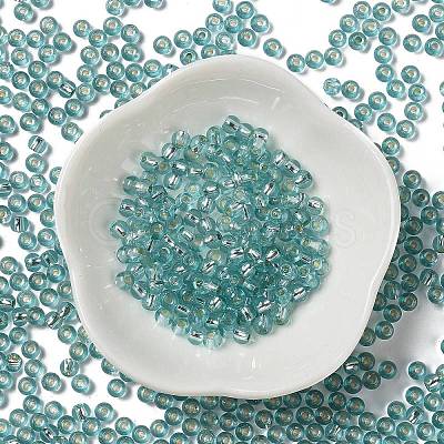 Glass Seed Beads SEED-H002-C-A049-1