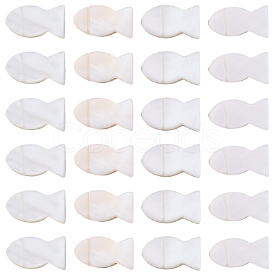 50Pcs Natural Freshwater Shell Beads SHEL-SC0002-03-1
