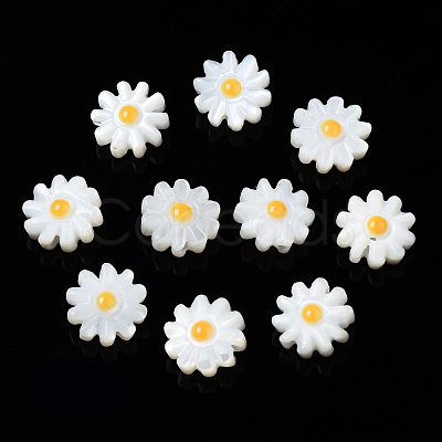 Natural Freshwater Shell Beads SHEL-N003-20B-01-1