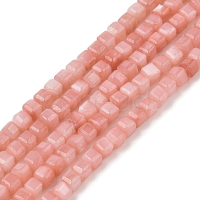 Natural Freshwater Shell Dyed Beads Strands SHEL-R100-11A-01-1