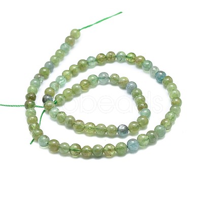 Natural Apatite Beads Strands G-F674-02-6mm-1