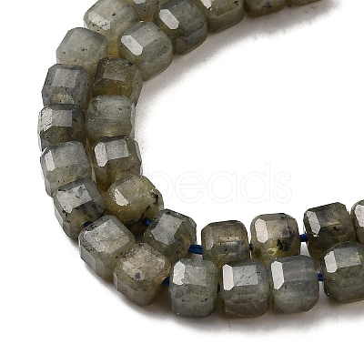 Natural Labradorite Beads Strands G-F797-A09-01-1