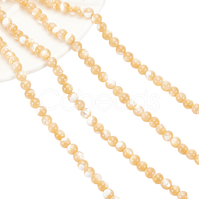 Nbeads Natural Trochid Shell/Trochus Shell Beads Strands SSHEL-NB0001-34-1