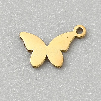 Stainless Steel Charms STAS-WH20001-17G-1