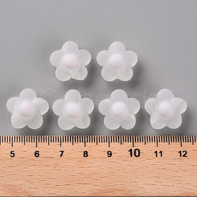 Transparent Acrylic Beads TACR-S152-09C-06-1