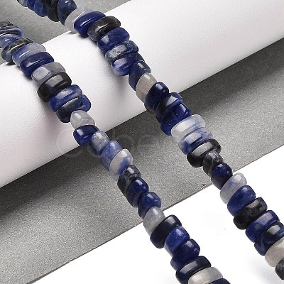 Natural Sodalite Beads Strands G-Q167-B06-01-1