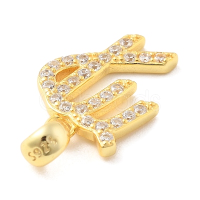 925 Sterling Silver Micro Pave Clear Cubic Zirconia Pendants STER-Z012-06G-08-1