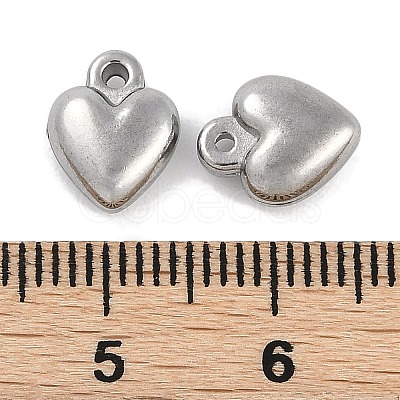 304 Stainless Steel Charms STAS-R135-01P-02-1