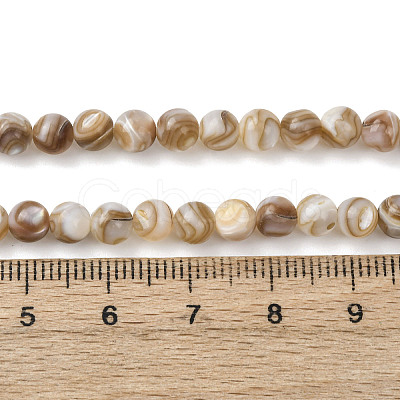Natural Freshwater Shell Beads Strands SHEL-K006-71B-1