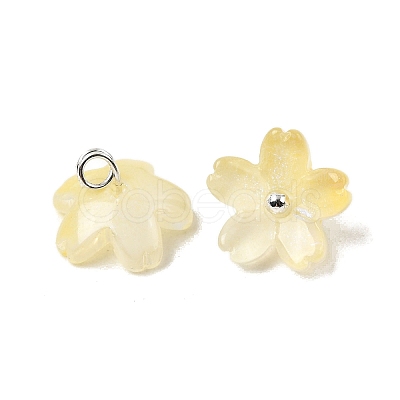 Glass Charms GLAA-G127-05D-1