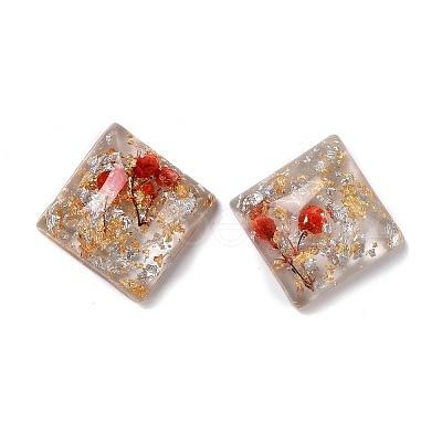 Transparent Resin Cabochons LS-CRES-P019-02A-1