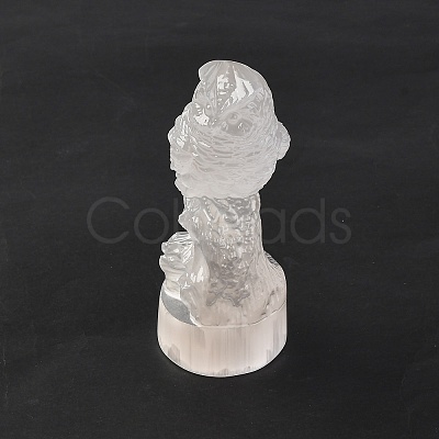 Natural Selenite Figurines DJEW-Q006-01J-1