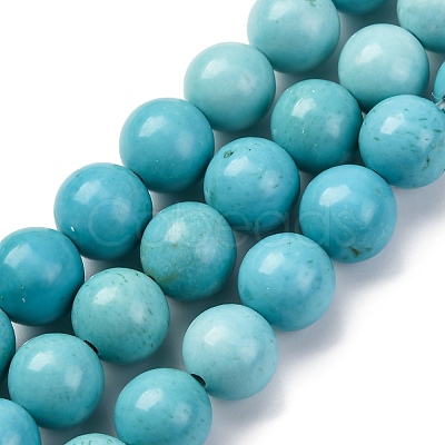 Dyed Natural Magnesite Beads Strands G-P558-A01-01B-1